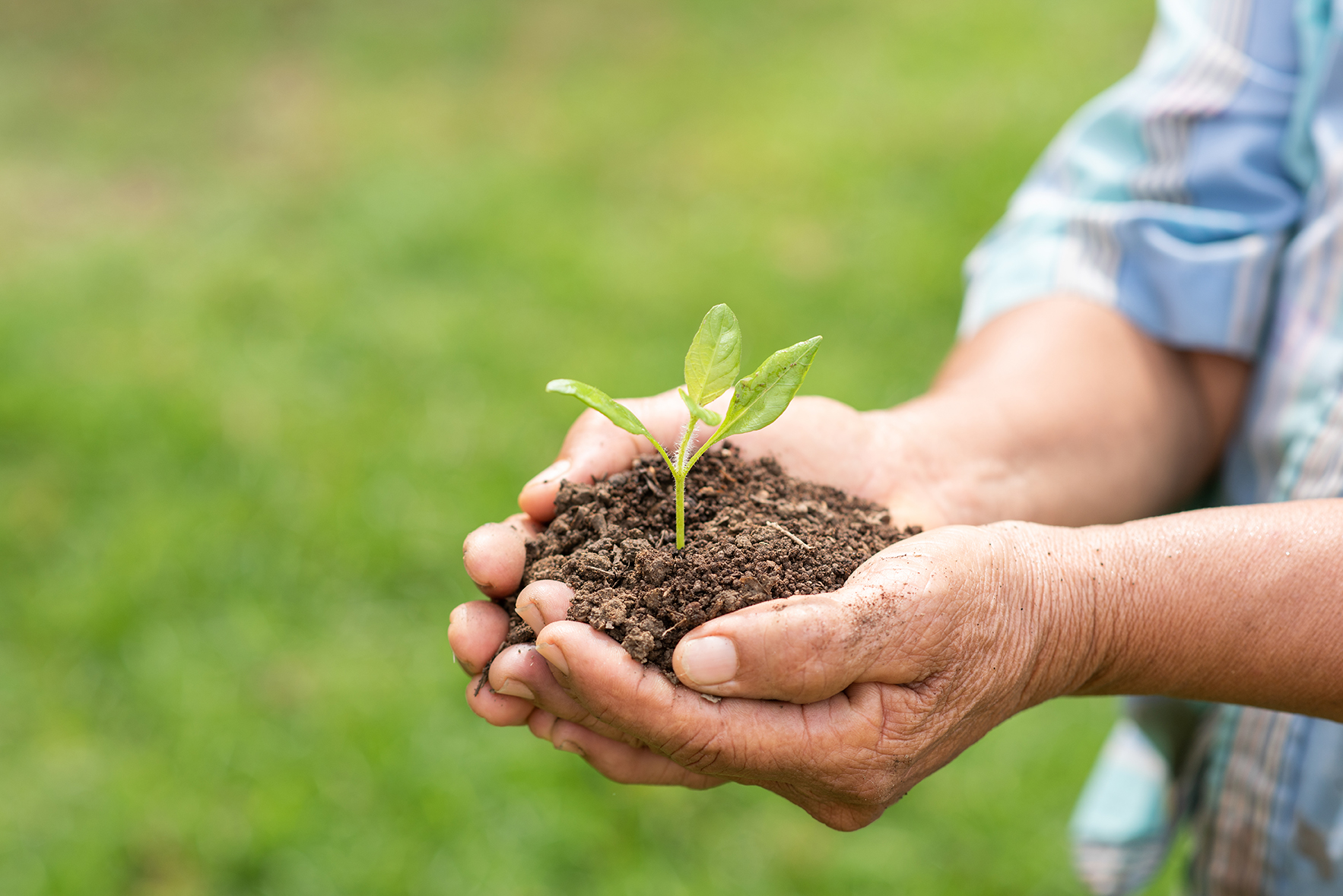 I benefici dei biostimolanti genomici nell’agricoltura