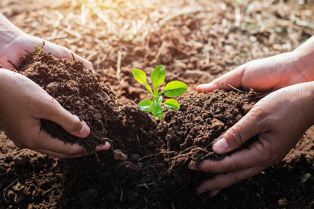 Biostimolante genomico Respect nell’agricoltura