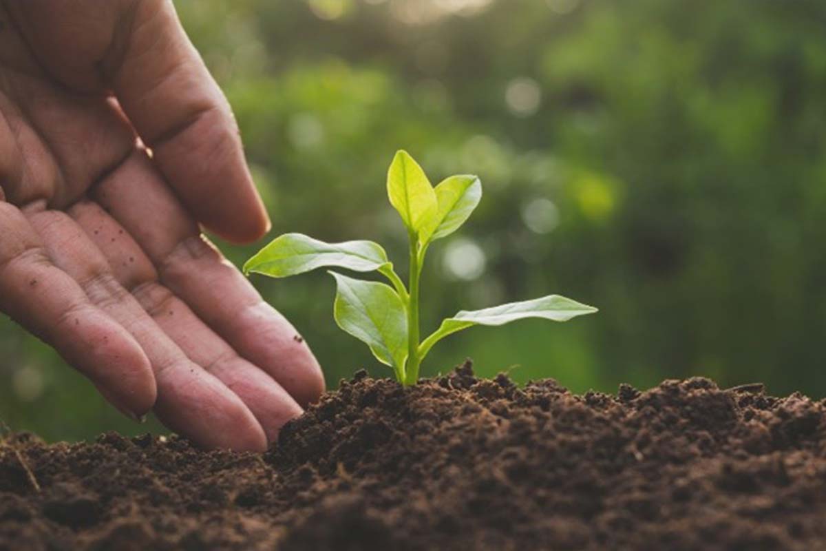 vendita-biostimolanti per agricoltura