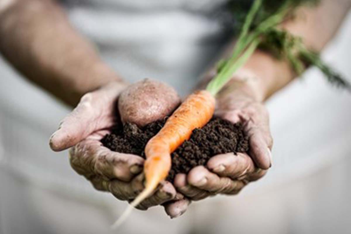 vendita chelati per agricoltura