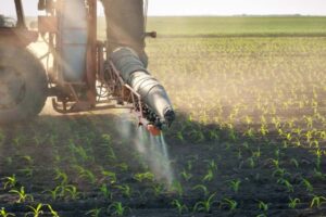 vendita concimi per mais