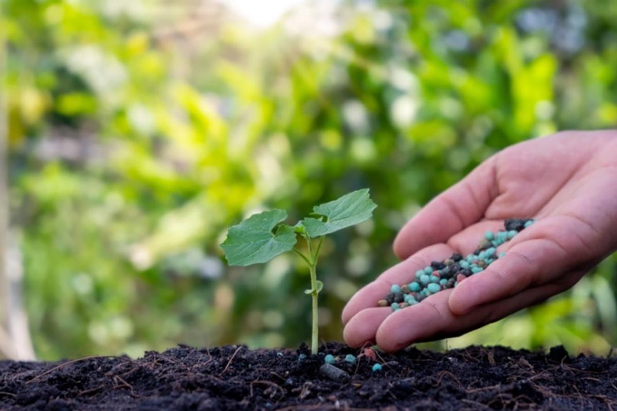 vendita prodotti organici per agricoltura